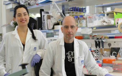 Blast of Thin Air Can Reset Circadian Clocks