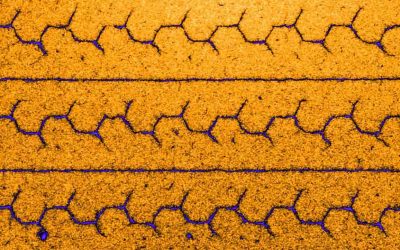 DNA, the Condensed Version