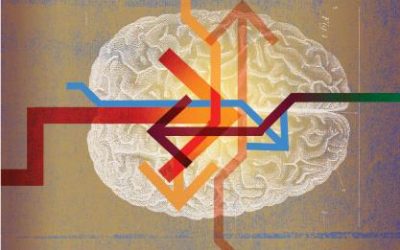 Immune System Maintains Brain Health