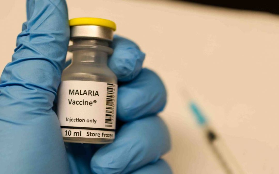 Programmed Proteins Might Help Prevent Malaria