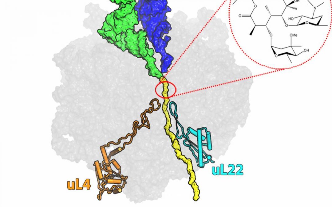 Antibiotic Resistance in 3D