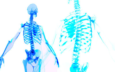 Thinking outside the Skeleton