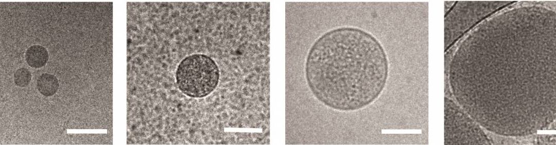 How Malaria Tricks the Immune System