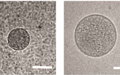 How Malaria Tricks the Immune System