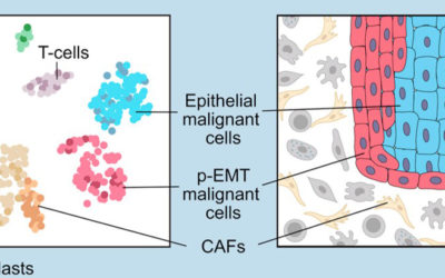 Comprehending Cancer Ecosystems – One Cell at a Time