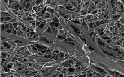 Take Organic Dye, Add Carbon Nanotubes, Stir