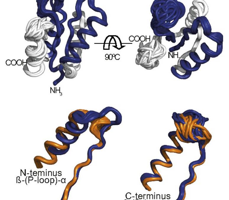 In Search of the First Enzymes