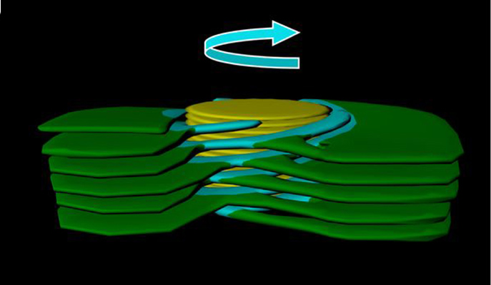 Five papers in one week published in the Proceedings of the National Academy of Sciences highlight Weizmann Institute research