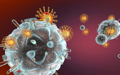 How do viruses infect?