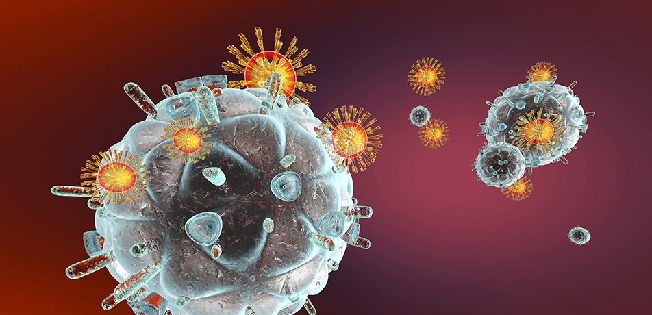 How do viruses infect?