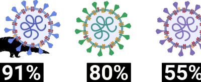 Coronavirus by the Numbers