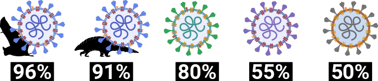 Coronavirus by the Numbers