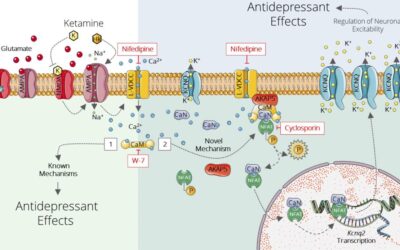 Changing the Channel: Study Sheds New Light on a Promising Antidepressant