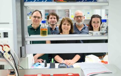 A bacterial model helps reveal how our bodies prevent population explosions – and cancer